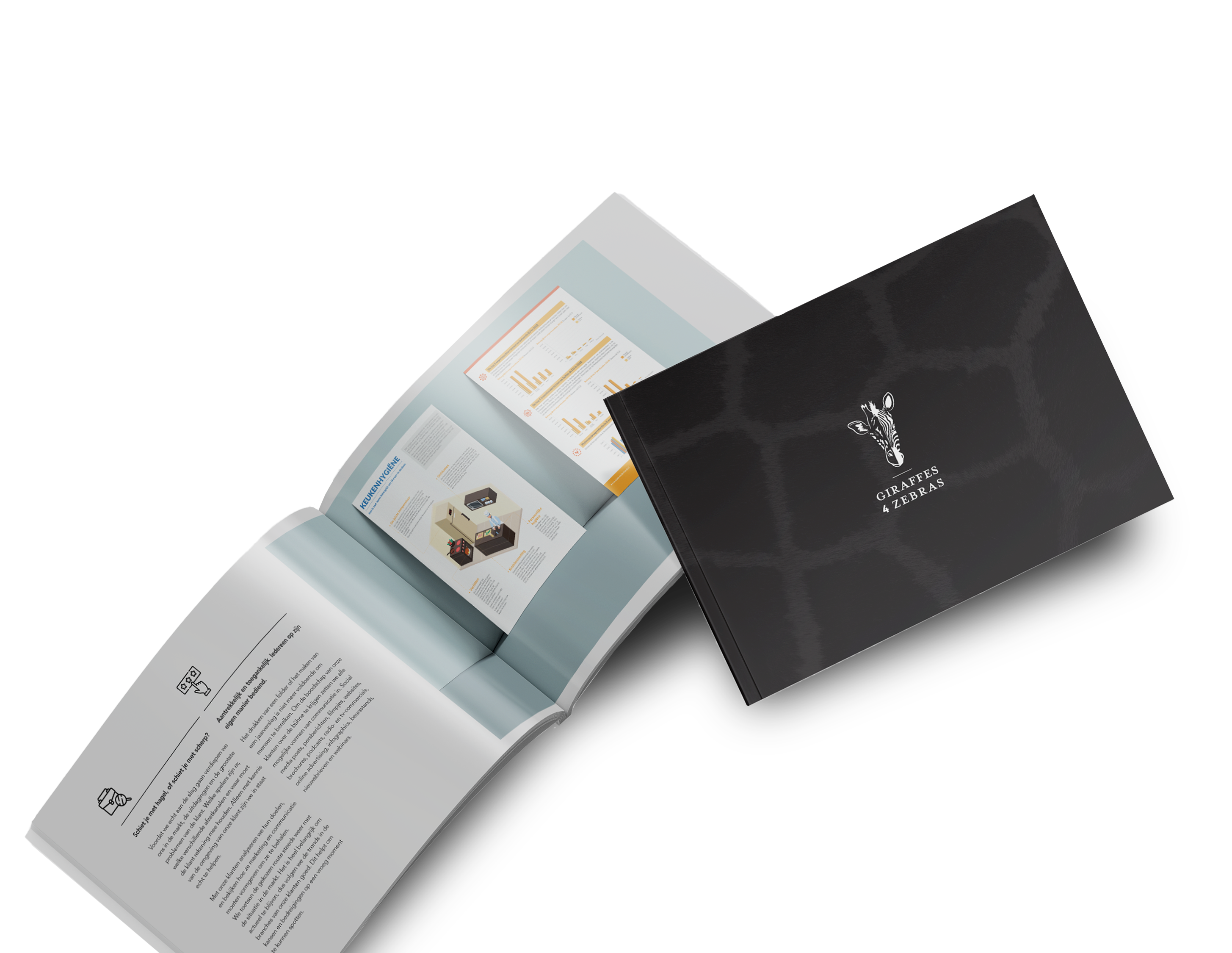 G4Z brochure 2020 mockup